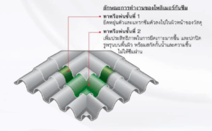 การทำงานของโพลีเมอร์กันซึม